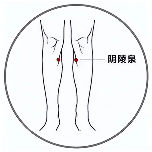 详细展示
