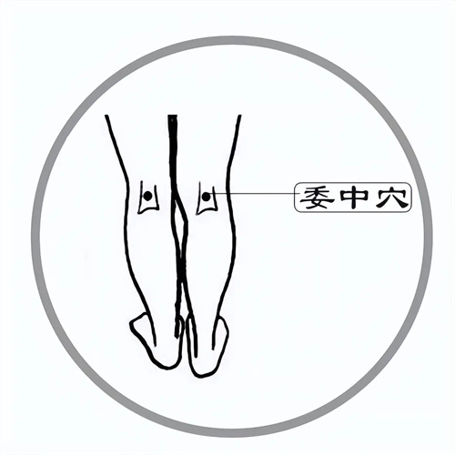 细节介绍