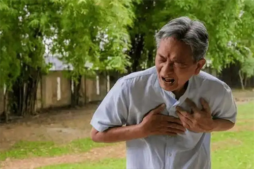 详细介绍