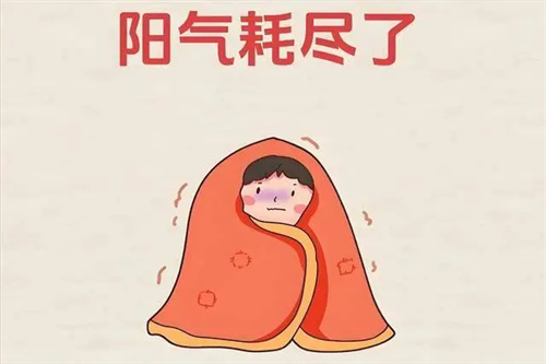 细节展示