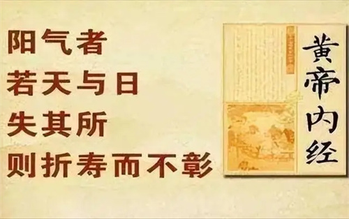 详细描述