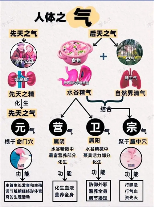 详细描述