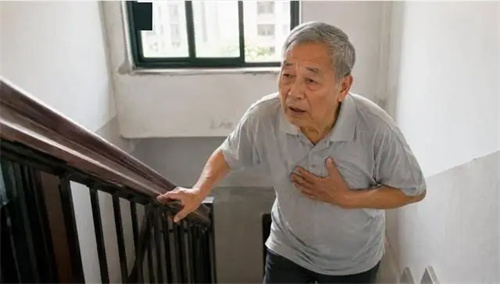 详细介绍