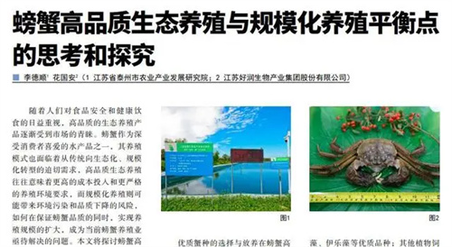 图片细节