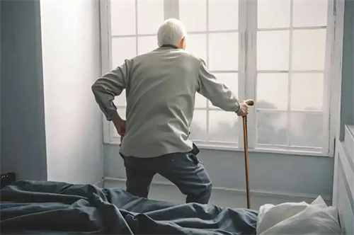 详细介绍