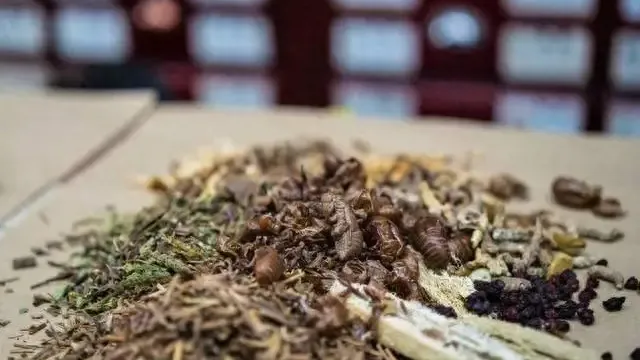 详细说明
