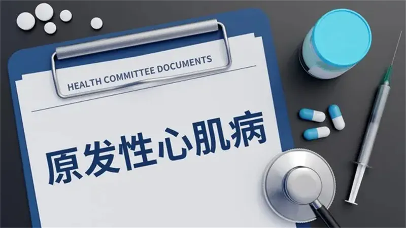 详细介绍